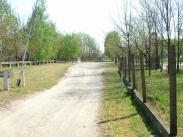 A telkem egy 80 cm-es s�vja a szomsz�dhoz ker�lt. �rdemes a helyzetet rendezni?